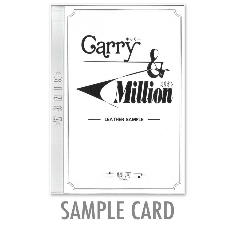 GINGA-SAMPLE2 GINGA サンプル帳 【Carry & Million】用