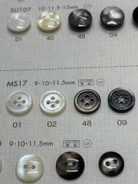 MS17 DAIYA BUTTONS 貝調ポリエステルボタン 大阪プラスチック工業(DAIYA BUTTON) サブ画像