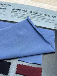 1078420 ALBINI SEA ISLAND COTTON 天竺[生地] 瀧定名古屋 サブ画像