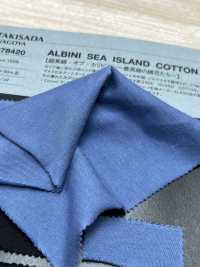 1078420 ALBINI SEA ISLAND COTTON 天竺[生地] 瀧定名古屋 サブ画像