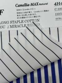 4H4436/3 EXTRA LONG STAPLE COTTON 『FOR YOU』MIRACLE BROAD[生地] 桑村繊維 サブ画像