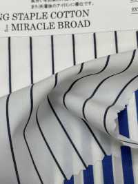 4H4436/3 EXTRA LONG STAPLE COTTON 『FOR YOU』MIRACLE BROAD[生地] 桑村繊維 サブ画像