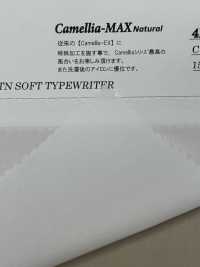 4H4416 COTTON SOFT TYPEWRITER[生地] 桑村繊維 サブ画像