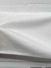 LY1602 TENCEL™Lyocell fibers single jersey[生地] ネクストステージ(SAWAMURA) サブ画像